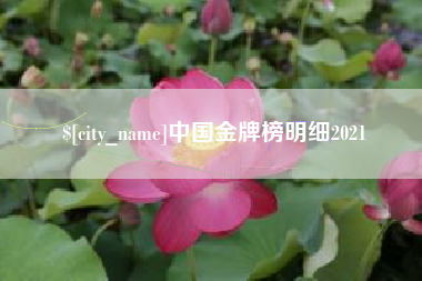 湖北中国金牌榜明细2021