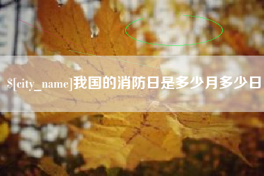 湖北我国的消防日是多少月多少日