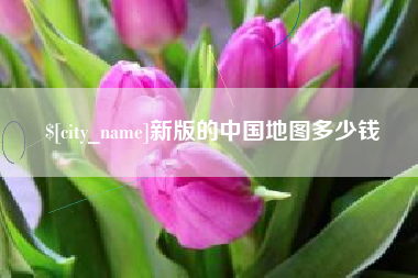 湖北新版的中国地图多少钱