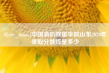 湖北中国消防救援学院山东2020年录取分数线是多少