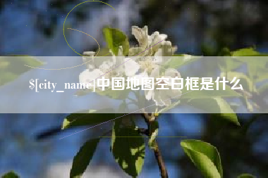 湖北中国地图空白框是什么