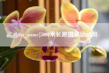 湖北5000米长跑国家运动员