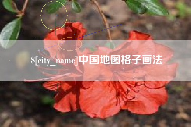 湖北中国地图格子画法