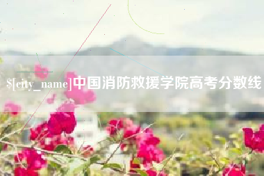 湖北中国消防救援学院高考分数线