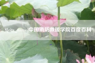 湖北中国消防救援学院百度百科