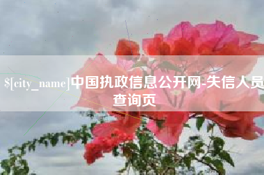 湖北中国执政信息公开网-失信人员查询页