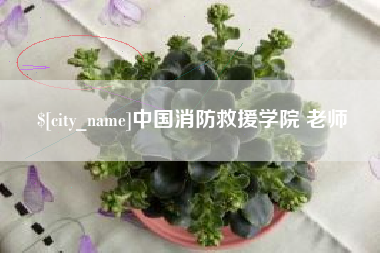 湖北中国消防救援学院 老师