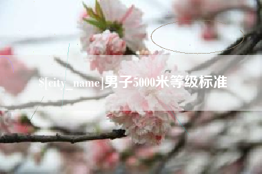 湖北男子5000米等级标准