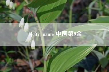 湖北中国第9金