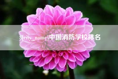 湖北中国消防学校排名