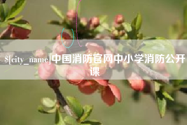 湖北中国消防官网中小学消防公开课
