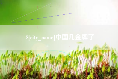 湖北中国几金牌了
