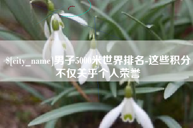 湖北男子5000米世界排名-这些积分不仅关乎个人荣誉