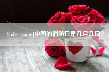 湖北中国的消防日是几月几日？
