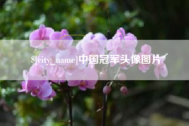 湖北中国冠军头像图片