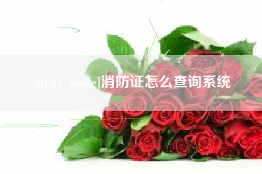 湖北消防证怎么查询系统