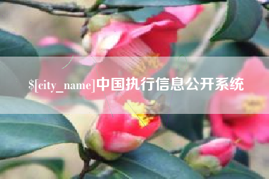 湖北中国执行信息公开系统