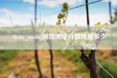 湖北消防大学分数线是多少