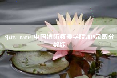 湖北中国消防救援学院2019录取分数线