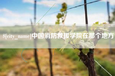 湖北中国消防救援学院在那个地方