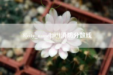 湖北2021消防分数线