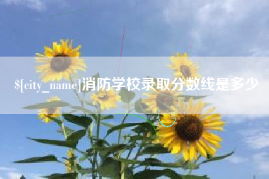 湖北消防学校录取分数线是多少