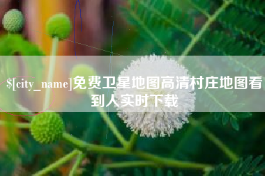 湖北免费卫星地图高清村庄地图看到人实时下载