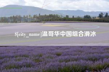 湖北温哥华中国组合滑冰