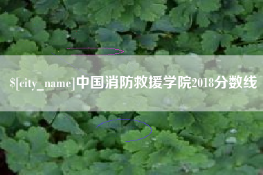 湖北中国消防救援学院2018分数线