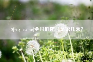 湖北全国消防日是第几天？