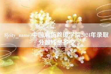 湖北中国消防救援学院2024年录取分数线是多少