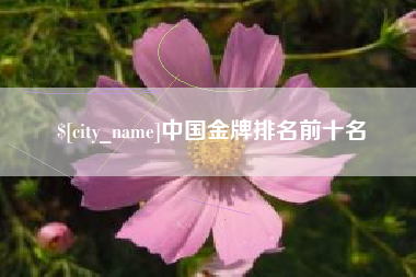 湖北中国金牌排名前十名