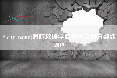 湖北消防救援学院招生录取分数线2019