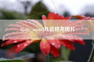 湖北九宫格龙图片