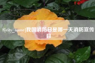湖北我国消防日是哪一天消防宣传日