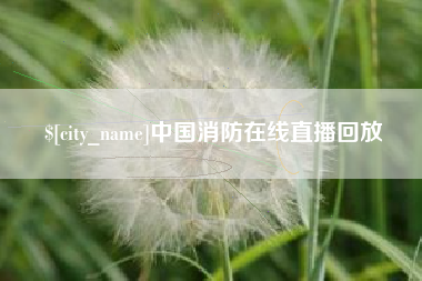湖北中国消防在线直播回放