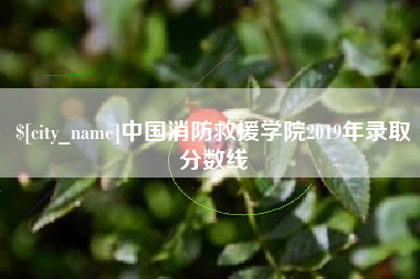 湖北中国消防救援学院2019年录取分数线