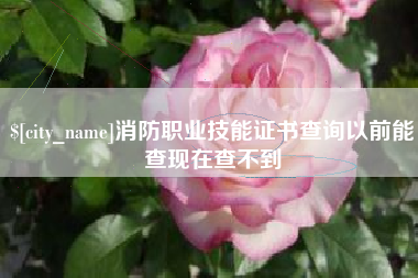 湖北消防职业技能证书查询以前能查现在查不到