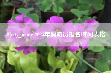 湖北2025年消防员报名时间表格