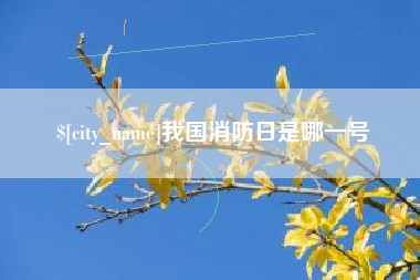 湖北我国消防日是哪一号