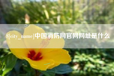 湖北中国消防网官网网址是什么