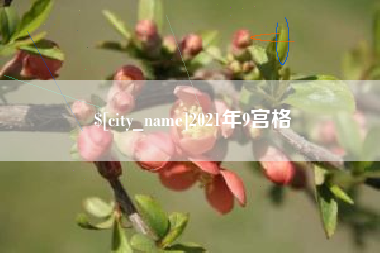 湖北2021年9宫格