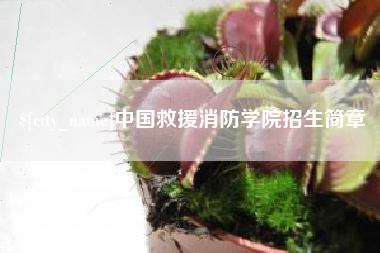 湖北中国救援消防学院招生简章