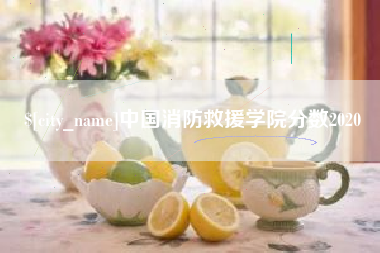 湖北中国消防救援学院分数2020