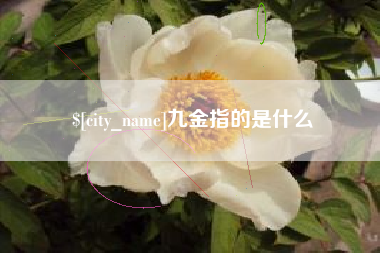 湖北九金指的是什么