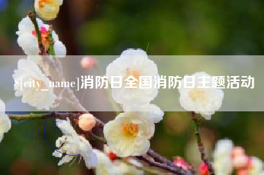 湖北消防日全国消防日主题活动