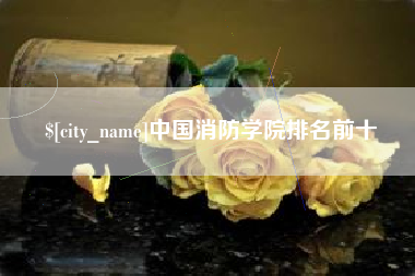 湖北中国消防学院排名前十
