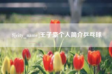 湖北王子豪个人简介乒乓球