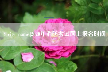 湖北2020年消防考试网上报名时间