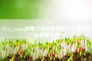 湖北内蒙古自治区消防技术服务执业管理平台